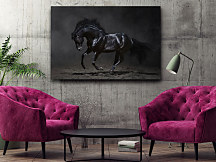 Obraz Tajomný čierny kôň zs1281